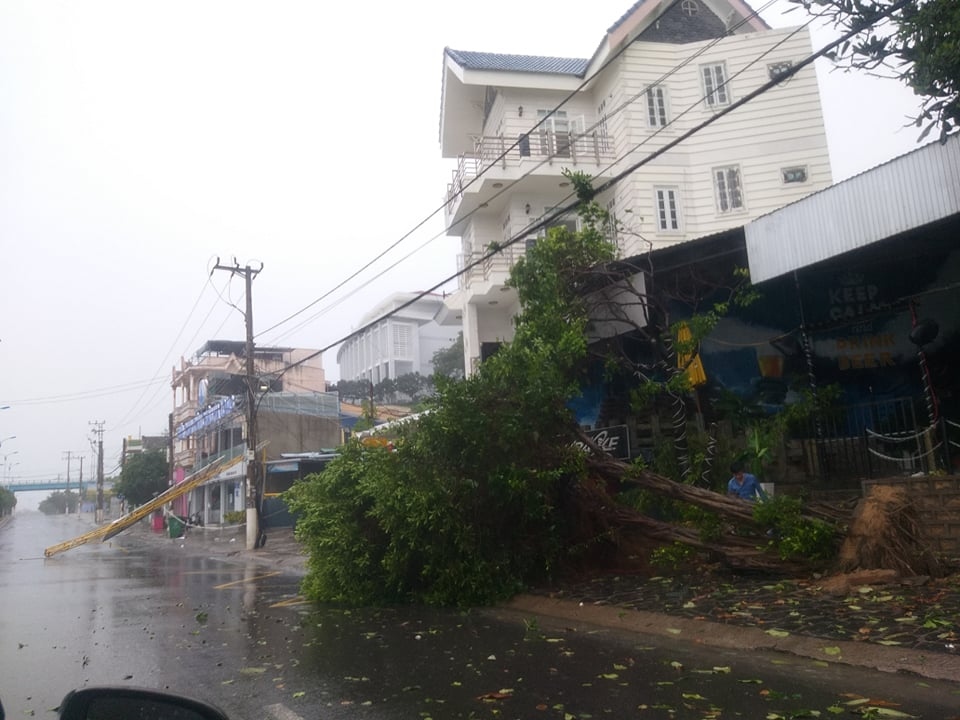 Khánh Hoà, Phú Yên mưa lớn gió giật mạnh, nhiều nơi mất điện